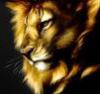 Аватар для Lion