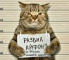 Аватар для Fanatus
