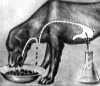 Аватар для Sabaka Pavlov