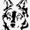 Аватар для Wolfi