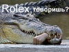 Аватар для Crocoduck11