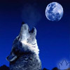 Аватар для WolfHowl