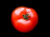 Аватар для Mr Pomidor