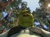 Аватар для Shrek1